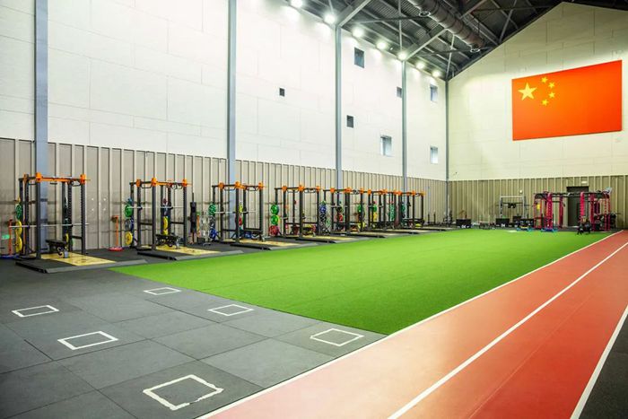 体能训练解决方案-广西leyu.乐鱼体育